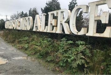 Parcela en  Puerto Montt, Llanquihue