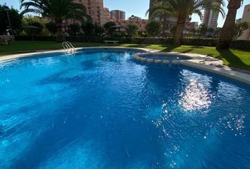 Piso en  Benidorm, Alicante Provincia