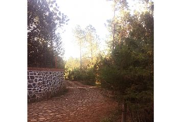 Lote de Terreno en  Huasca De Ocampo, Hidalgo