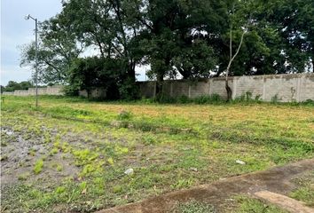 Lote de Terreno en  Tapachula Centro, Tapachula De Córdova Y Ordóñez