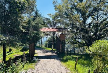 Rancho en  Tlalnelhuayocan, Veracruz