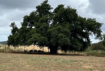 Lote de Terreno en  Calle Principal, Francisco Zarco, Ensenada, Baja California, 22750, Mex