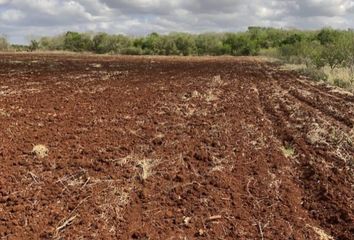 Lote de Terreno en  Hopelchén, Campeche