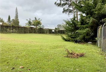 Lote de Terreno en  El Carmen De Viboral, Antioquia