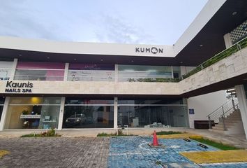 Local comercial en  Avenida 41, Xcumpich, Mérida, Yucatán, 97203, Mex