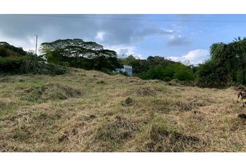 Lote de Terreno en  La Trinidad, Manizales