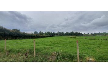 Lote de Terreno en  La Unión, Antioquia