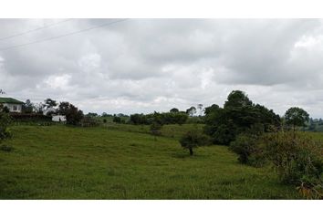 Lote de Terreno en  Circasia, Quindío