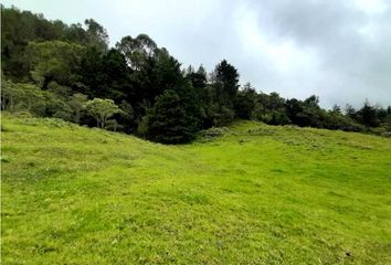 Lote de Terreno en  Envigado, Antioquia