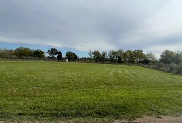 Terrenos en  La Ranita, Partido De Luján