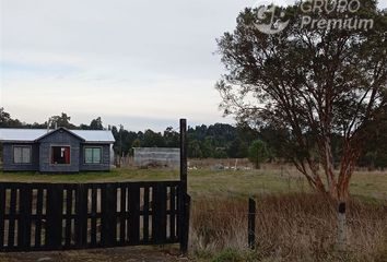 Parcela en  Río Bueno, De Ranco