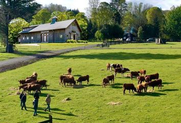 Parcela en  Villarrica, Cautín