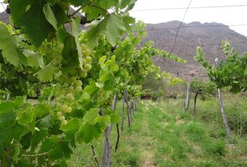 Parcela en  Vicuña, Elqui