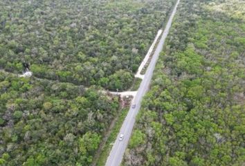 Lote de Terreno en  Puerto Morelos, Quintana Roo