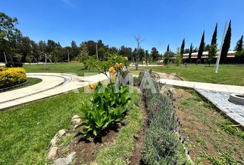 Lote de Terreno en  Ciudad Guzmán Centro, Zapotlán El Grande