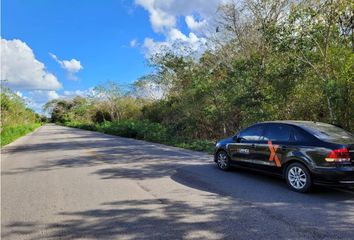 Local comercial en  Cuzamá, Yucatán