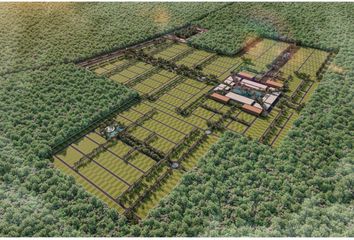 Lote de Terreno en  Dzidzantún, Yucatán