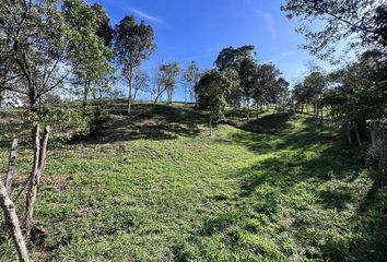 Lote de Terreno en  Guarne, Antioquia