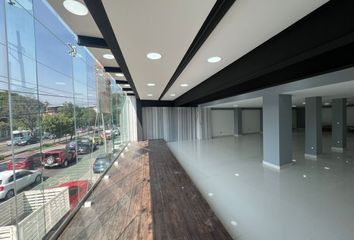 Local comercial en  Avenida Insurgentes S, Chimalistac, Álvaro Obregón, Ciudad De México, 01000, Mex