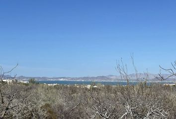 Lote de Terreno en  23205, La Paz, Baja California Sur, Mex