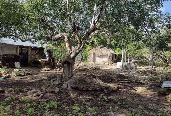 Lote de Terreno en  Calle 11, Dzilam De Bravo, Yucatán, 97606, Mex