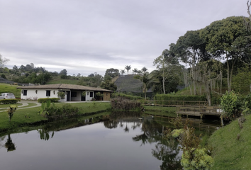 Casa en  La Ceja, Antioquia