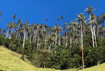 Villa-Quinta en  Santa Rita, Ibague