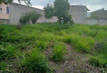 Lote de Terreno en  Fraccionamiento Las Fincas, Jiutepec, Morelos