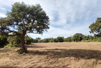 Terrenos en  San José Del Rincón, Santa Fe