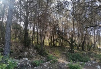 Terreno en  Sant Pere De Ribes, Barcelona Provincia