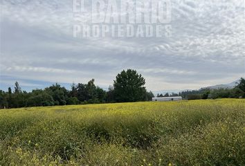 Parcela en  Colina, Chacabuco