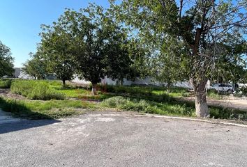 Lote de Terreno en  Las Trojes, Torreón