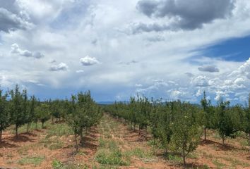 Lote de Terreno en  Guerrero, Chihuahua