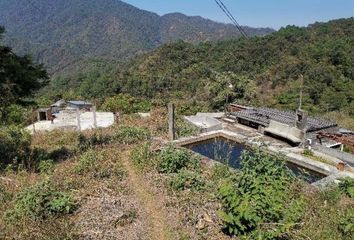 Rancho en  Chis-157, Nuevo Paraíso, La Concordia, Chiapas, 30365, Mex