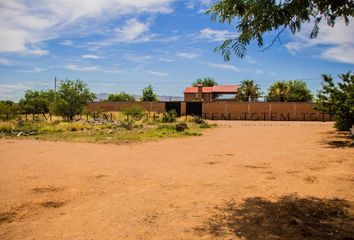 Lote de Terreno en  Calle Primera, Los Nogales, Chihuahua, 31380, Mex