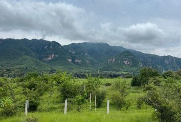 Lote de Terreno en  Calle Benito Juárez, El Puente Caporal, Puente Caporal, Malinalco, México, 52464, Mex