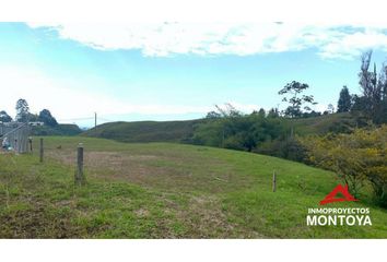 Lote de Terreno en  Centro, Pereira