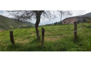 Lote de Terreno en  Pamplonita, Norte De Santander