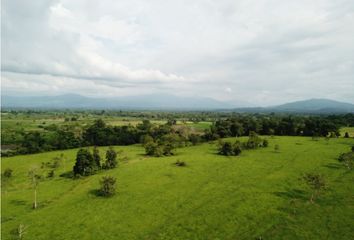 Villa-Quinta en  Bellavista, Cúcuta