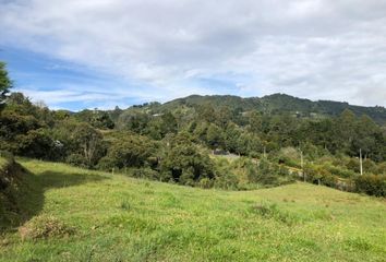 Lote de Terreno en  Rionegro Antioquía