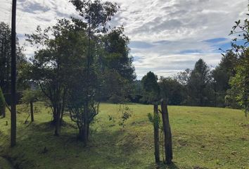 Lote de Terreno en  Rionegro Antioquía