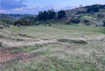 Local Comercial en  Guarne, Antioquia