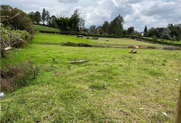 Lote de Terreno en  Rionegro Antioquía