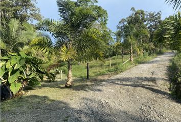 Lote de Terreno en  Arenillo, Manizales