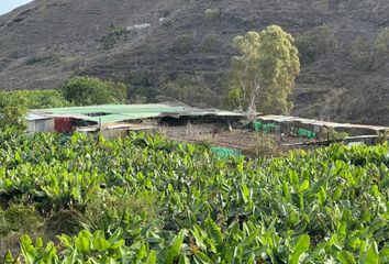 Terreno en  Arucas, Palmas (las)