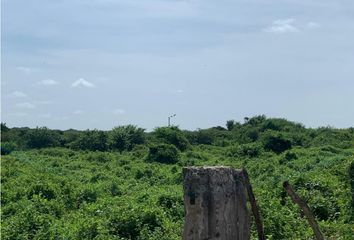 Lote de Terreno en  Villa Sofía, Soledad