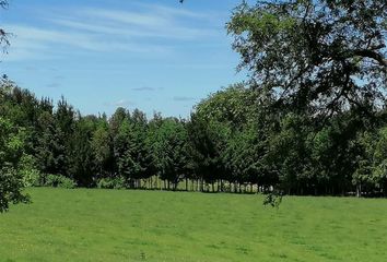 Parcela en  Río Negro, Osorno