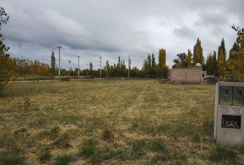 Terrenos en  Quintas De Sara, Río Negro