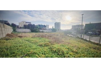 Parcela en  Concón, Valparaíso