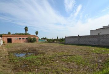 Terreno en  Deltebre, Tarragona Provincia